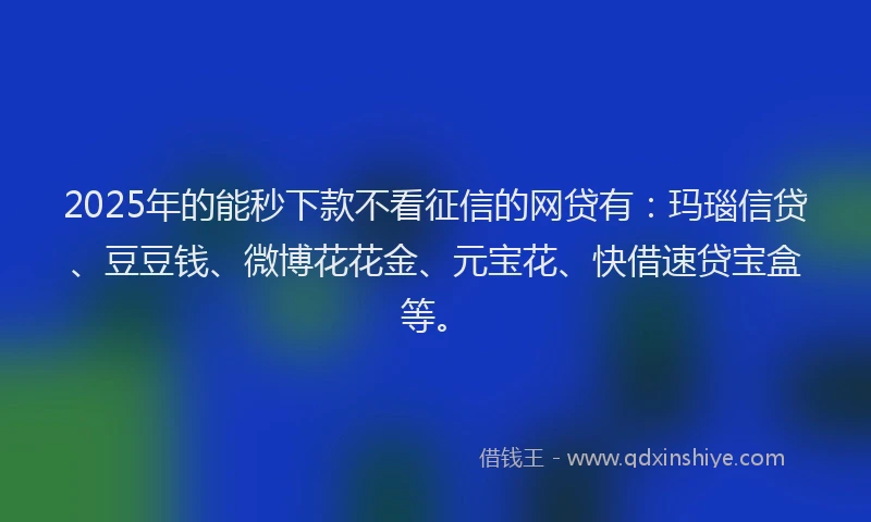 2025年的能秒下款不看征信的网贷有：玛瑙信贷、豆豆钱、微博花花金、元宝花、快借速贷宝盒等。