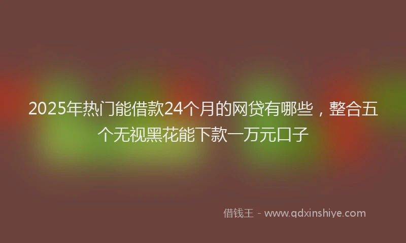 2025年热门能借款24个月的网贷有哪些，整合五个无视黑花能下款一万元口子
