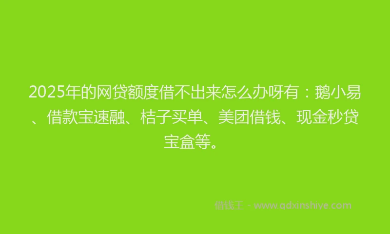 2025年的网贷额度借不出来怎么办呀有：鹅小易、借款宝速融、桔子买单、美团借钱、现金秒贷宝盒等。