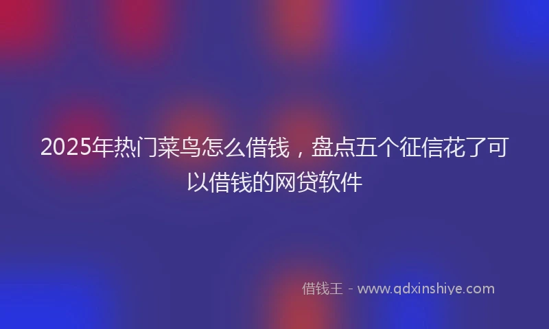 2025年热门菜鸟怎么借钱，盘点五个征信花了可以借钱的网贷软件