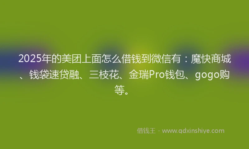 2025年的美团上面怎么借钱到微信有：魔快商城、钱袋速贷融、三枝花、金瑞Pro钱包、gogo购等。