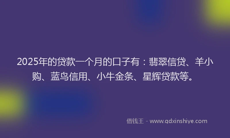 2025年的贷款一个月的口子有：翡翠信贷、羊小购、蓝鸟信用、小牛金条、星辉贷款等。