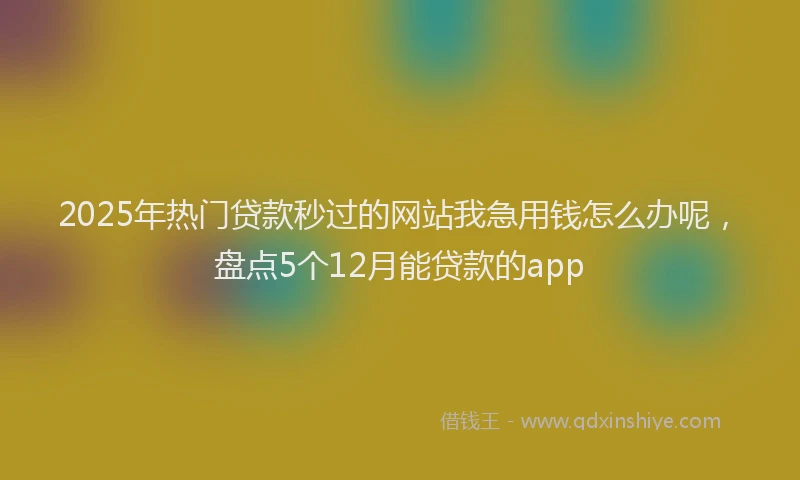 2025年热门贷款秒过的网站我急用钱怎么办呢，盘点5个12月能贷款的app