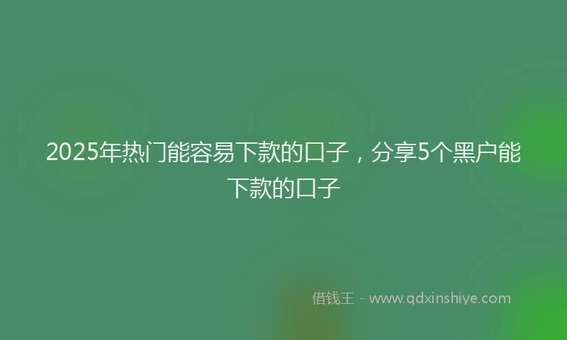2025年热门能容易下款的口子，分享5个黑户能下款的口子