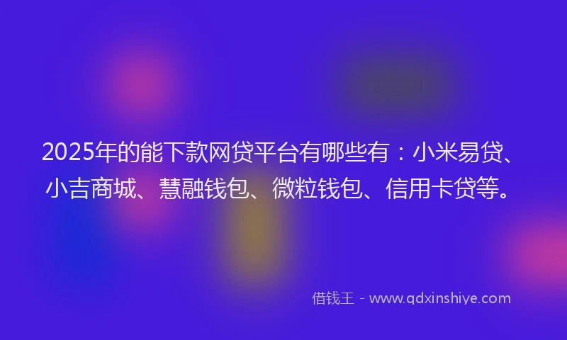 2025年的能下款网贷平台有哪些有：小米易贷、小吉商城、慧融钱包、微粒钱包、信用卡贷等。