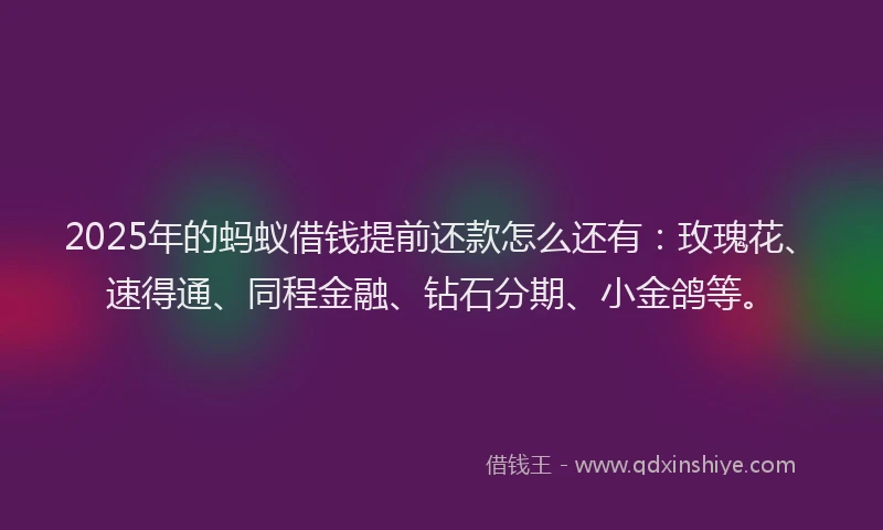 2025年的蚂蚁借钱提前还款怎么还有：玫瑰花、速得通、同程金融、钻石分期、小金鸽等。