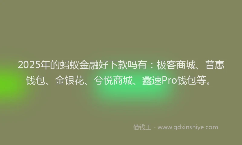 2025年的蚂蚁金融好下款吗有：极客商城、普惠钱包、金银花、兮悦商城、鑫速Pro钱包等。