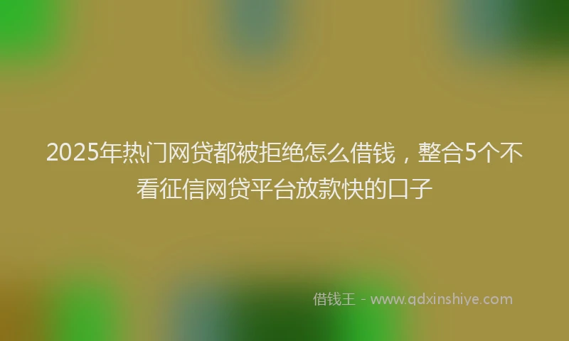 2025年热门网贷都被拒绝怎么借钱，整合5个不看征信网贷平台放款快的口子