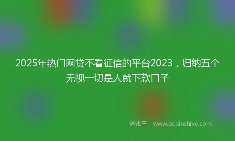 2025年热门网贷不看征信的平台2023，归纳五个无视一切是人就下款口子