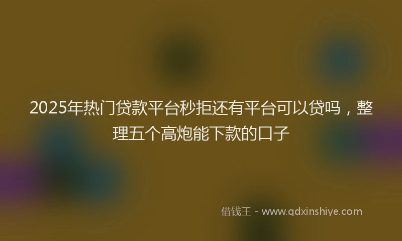 2025年热门贷款平台秒拒还有平台可以贷吗，整理五个高炮能下款的口子
