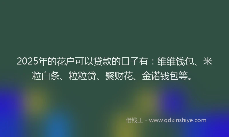 2025年的花户可以贷款的口子有：维维钱包、米粒白条、粒粒贷、聚财花、金诺钱包等。