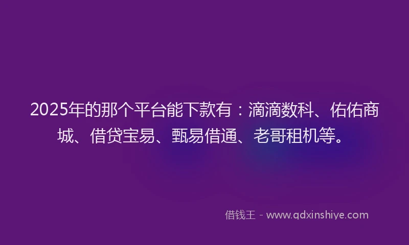 2025年的那个平台能下款有:滴滴数科、佑佑商城、借贷宝易、甄易借通、老哥租机等。