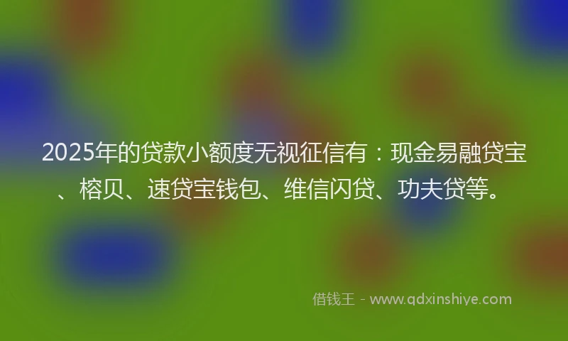2025年的贷款小额度无视征信有：现金易融贷宝、榕贝、速贷宝钱包、维信闪贷、功夫贷等。