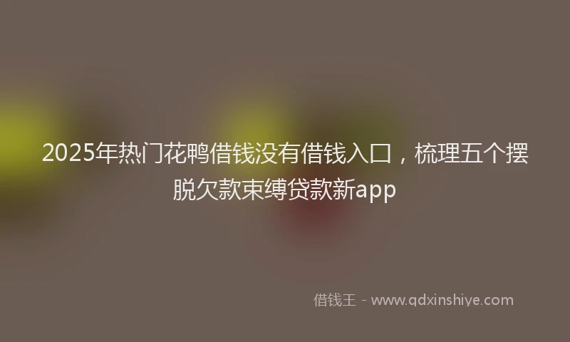 2025年热门花鸭借钱没有借钱入囗，梳理五个摆脱欠款束缚贷款新app
