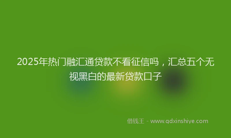 2025年热门融汇通贷款不看征信吗，汇总五个无视黑白的最新贷款口子