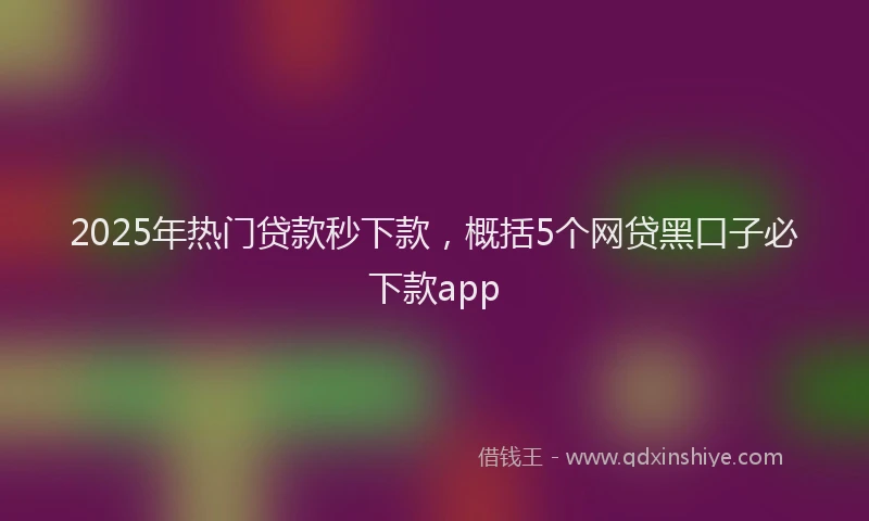 2025年热门贷款秒下款，概括5个网贷黑口子必下款app