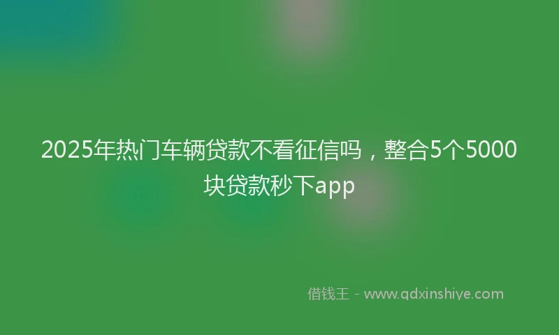 2025年热门车辆贷款不看征信吗，整合5个5000块贷款秒下app