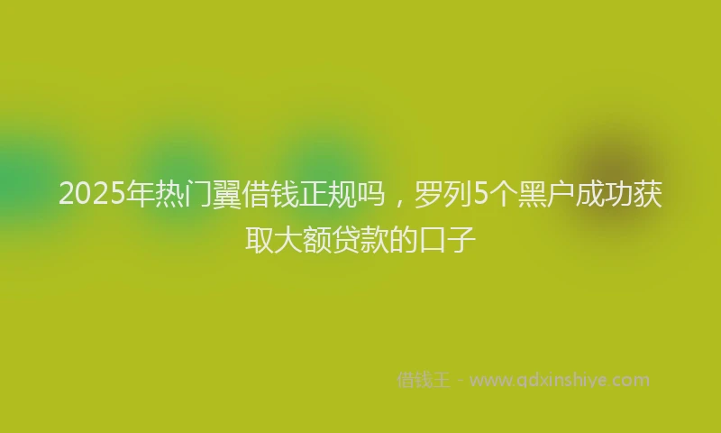 2025年热门翼借钱正规吗，罗列5个黑户成功获取大额贷款的口子