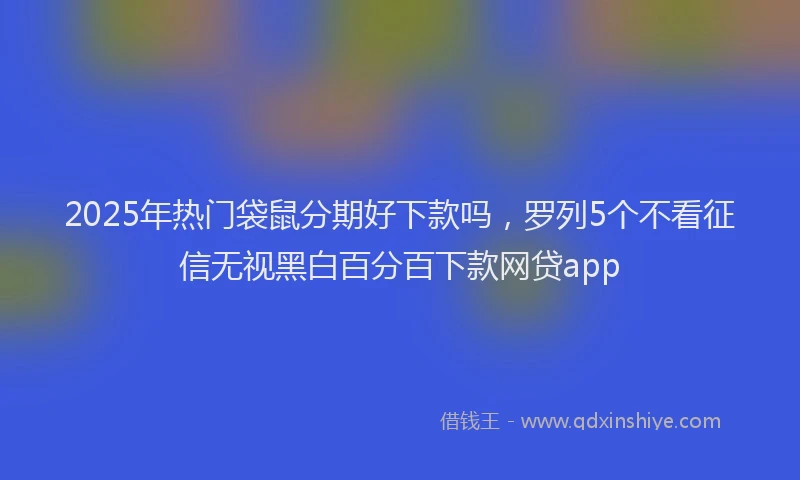 2025年热门袋鼠分期好下款吗，罗列5个不看征信无视黑白百分百下款网贷app