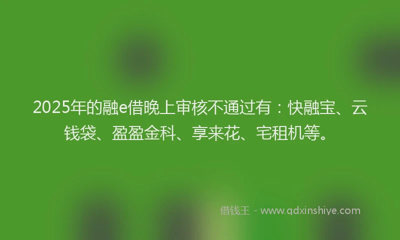 2025年的融e借晚上审核不通过有：快融宝、云钱袋、盈盈金科、享来花、宅租机等。