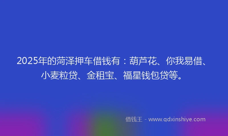 2025年的菏泽押车借钱有：葫芦花、你我易借、小麦粒贷、金租宝、福星钱包贷等。