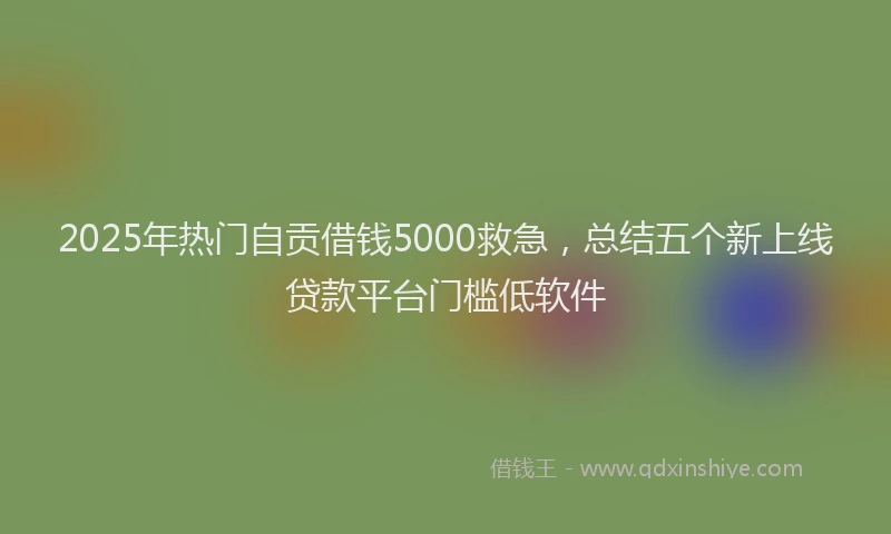 2025年热门自贡借钱5000救急，总结五个新上线贷款平台门槛低软件