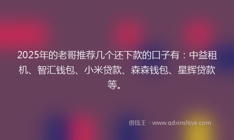2025年的老哥推荐几个还下款的口子有：中益租机、智汇钱包、小米贷款、森森钱包、星辉贷款等。