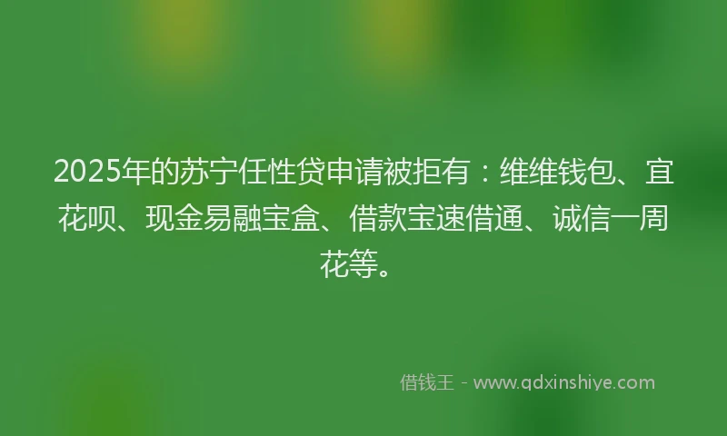 2025年的苏宁任性贷申请被拒有：维维钱包、宜花呗、现金易融宝盒、借款宝速借通、诚信一周花等。