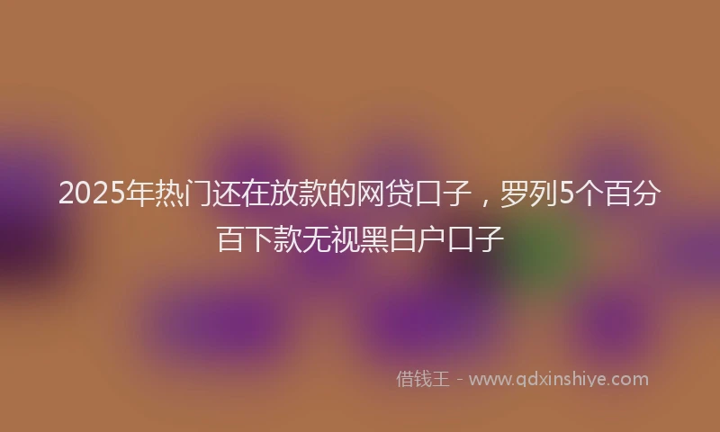 2025年热门还在放款的网贷口子，罗列5个百分百下款无视黑白户口子