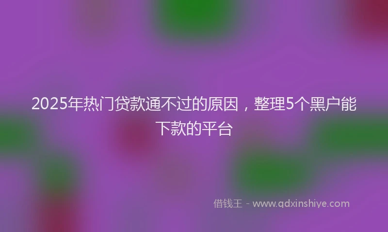 2025年热门贷款通不过的原因，整理5个黑户能下款的平台