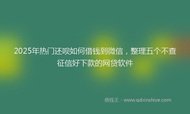 2025年热门还呗如何借钱到微信，整理五个不查征信好下款的网贷软件