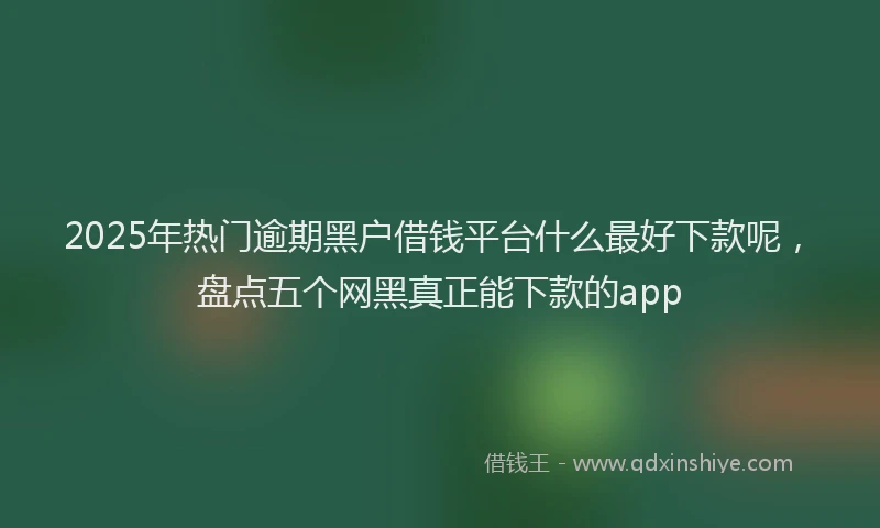 2025年热门逾期黑户借钱平台什么最好下款呢，盘点五个网黑真正能下款的app