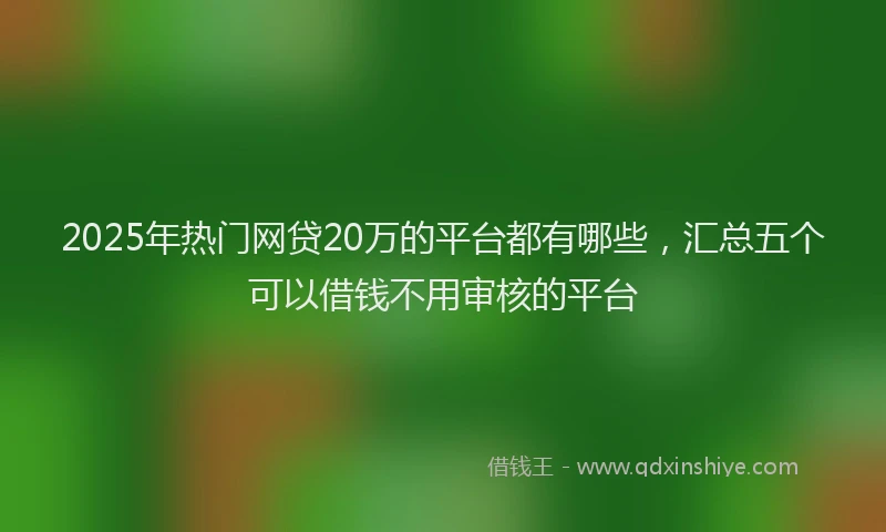 2025年热门网贷20万的平台都有哪些，汇总五个可以借钱不用审核的平台
