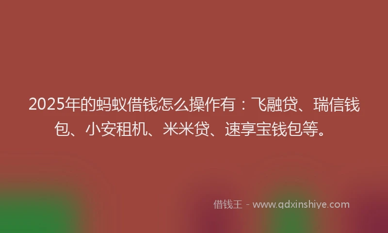 2025年的蚂蚁借钱怎么操作有：飞融贷、瑞信钱包、小安租机、米米贷、速享宝钱包等。