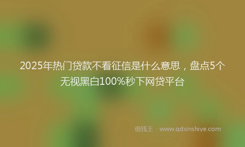 2025年热门贷款不看征信是什么意思，盘点5个无视黑白100%秒下网贷平台