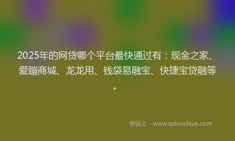 2025年的网贷哪个平台最快通过有：现金之家、爱蹦商城、龙龙用、钱袋易融宝、快捷宝贷融等。