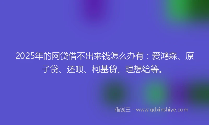 2025年的网贷借不出来钱怎么办有：爱鸿森、原子贷、还呗、柯基贷、理想给等。