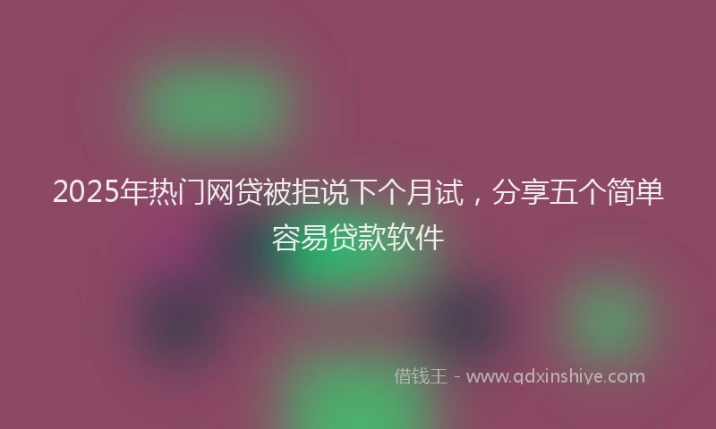 2025年热门网贷被拒说下个月试，分享五个简单容易贷款软件