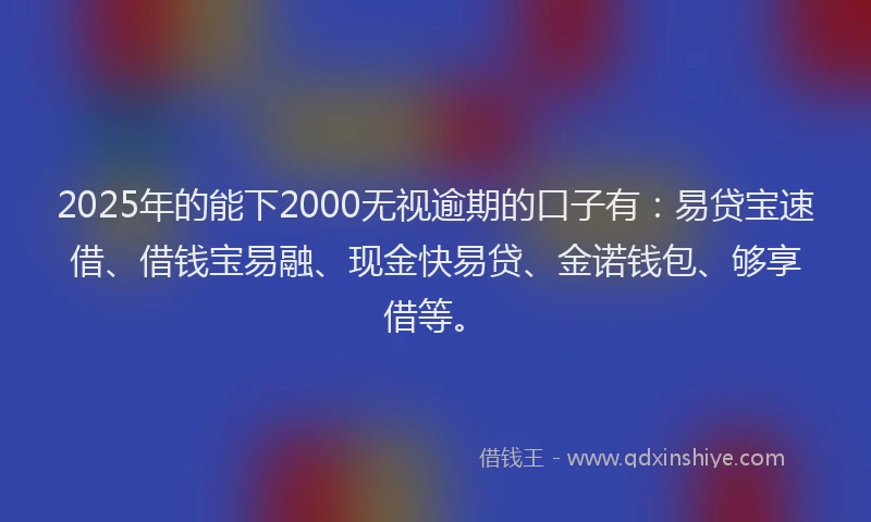 2025年的能下2000无视逾期的口子有：易贷宝速借、借钱宝易融、现金快易贷、金诺钱包、够享借等。