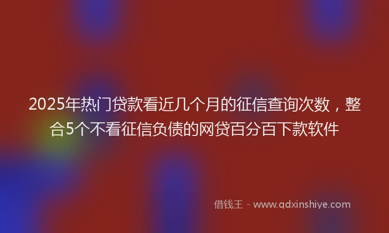 2025年热门贷款看近几个月的征信查询次数，整合5个不看征信负债的网贷百分百下款软件