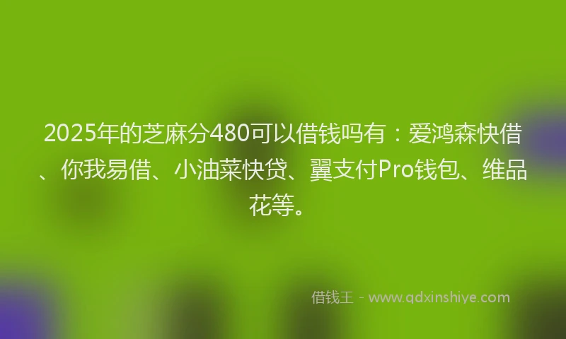 2025年的芝麻分480可以借钱吗有：爱鸿森快借、你我易借、小油菜快贷、翼支付Pro钱包、维品花等。