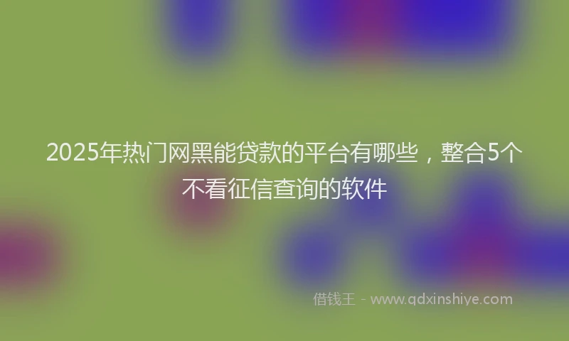 2025年热门网黑能贷款的平台有哪些，整合5个不看征信查询的软件