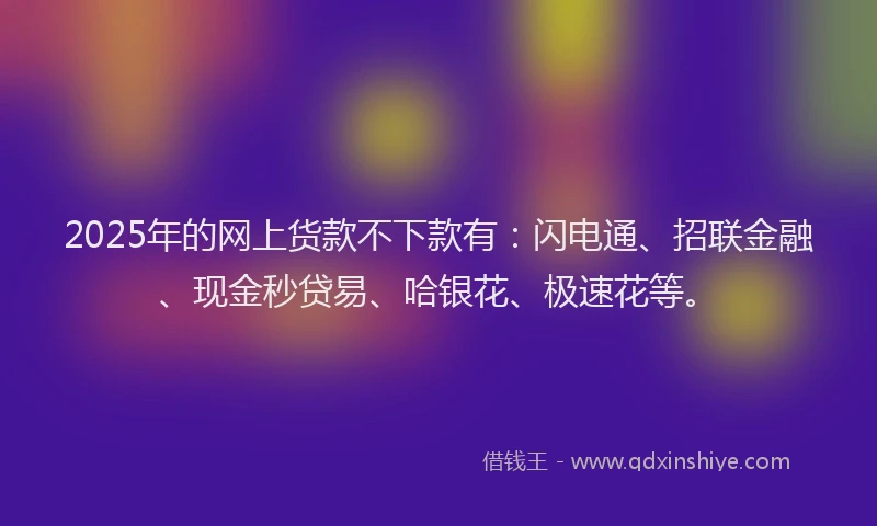 2025年的网上货款不下款有：闪电通、招联金融、现金秒贷易、哈银花、极速花等。