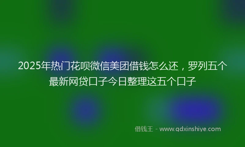 2025年热门花呗微信美团借钱怎么还，罗列五个最新网贷口子今日整理这五个口子