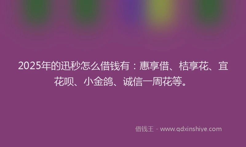 2025年的迅秒怎么借钱有：惠享借、桔享花、宜花呗、小金鸽、诚信一周花等。