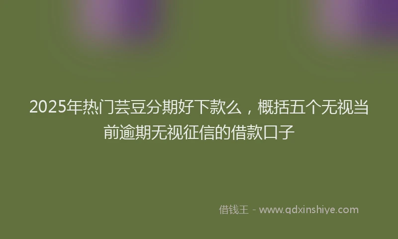 2025年热门芸豆分期好下款么，概括五个无视当前逾期无视征信的借款口子