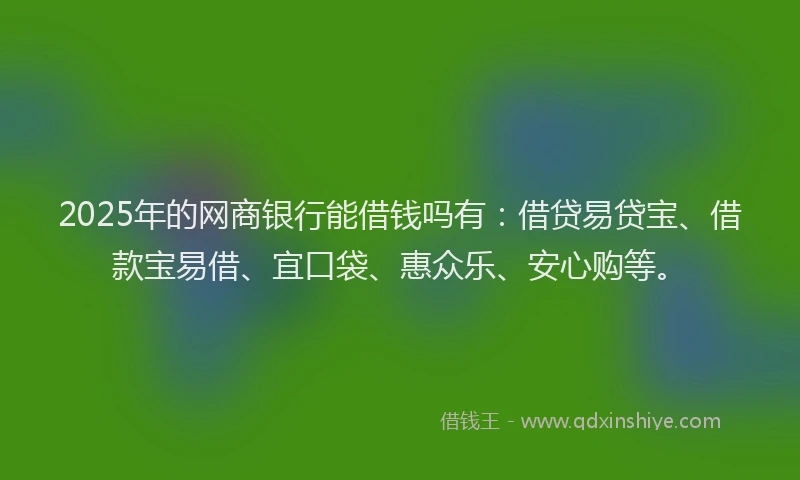 2025年的网商银行能借钱吗有：借贷易贷宝、借款宝易借、宜口袋、惠众乐、安心购等。