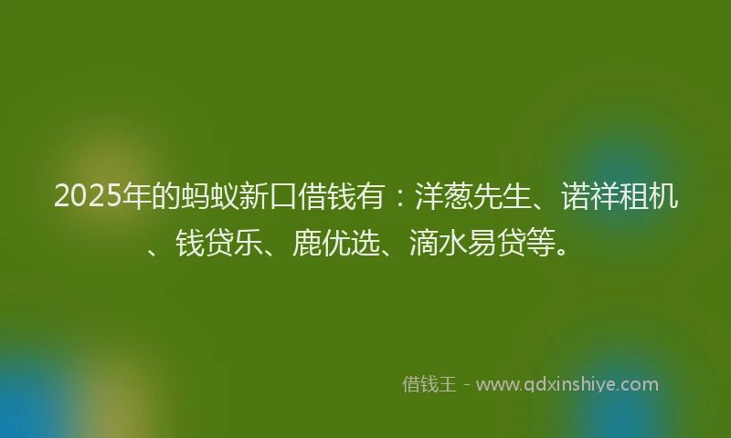 2025年的蚂蚁新口借钱有：洋葱先生、诺祥租机、钱贷乐、鹿优选、滴水易贷等。