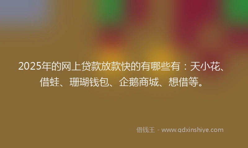2025年的网上贷款放款快的有哪些有：天小花、借蛙、珊瑚钱包、企鹅商城、想借等。