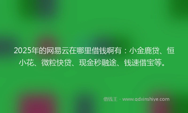 2025年的网易云在哪里借钱啊有：小金鹿贷、恒小花、微粒快贷、现金秒融途、钱速借宝等。